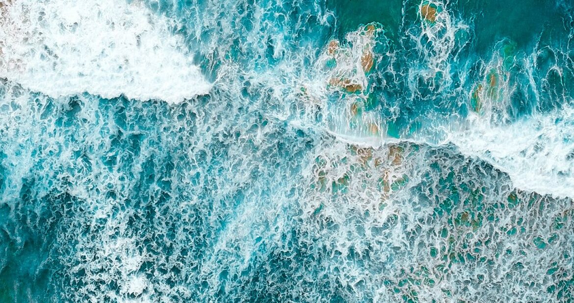 will-turner-KGc9MaDmjtI-unsplash will-turner-KGc9MaDmjtI-unsplash